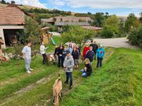 ziege1 web